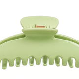 PISTACHIO CLAW CLIP